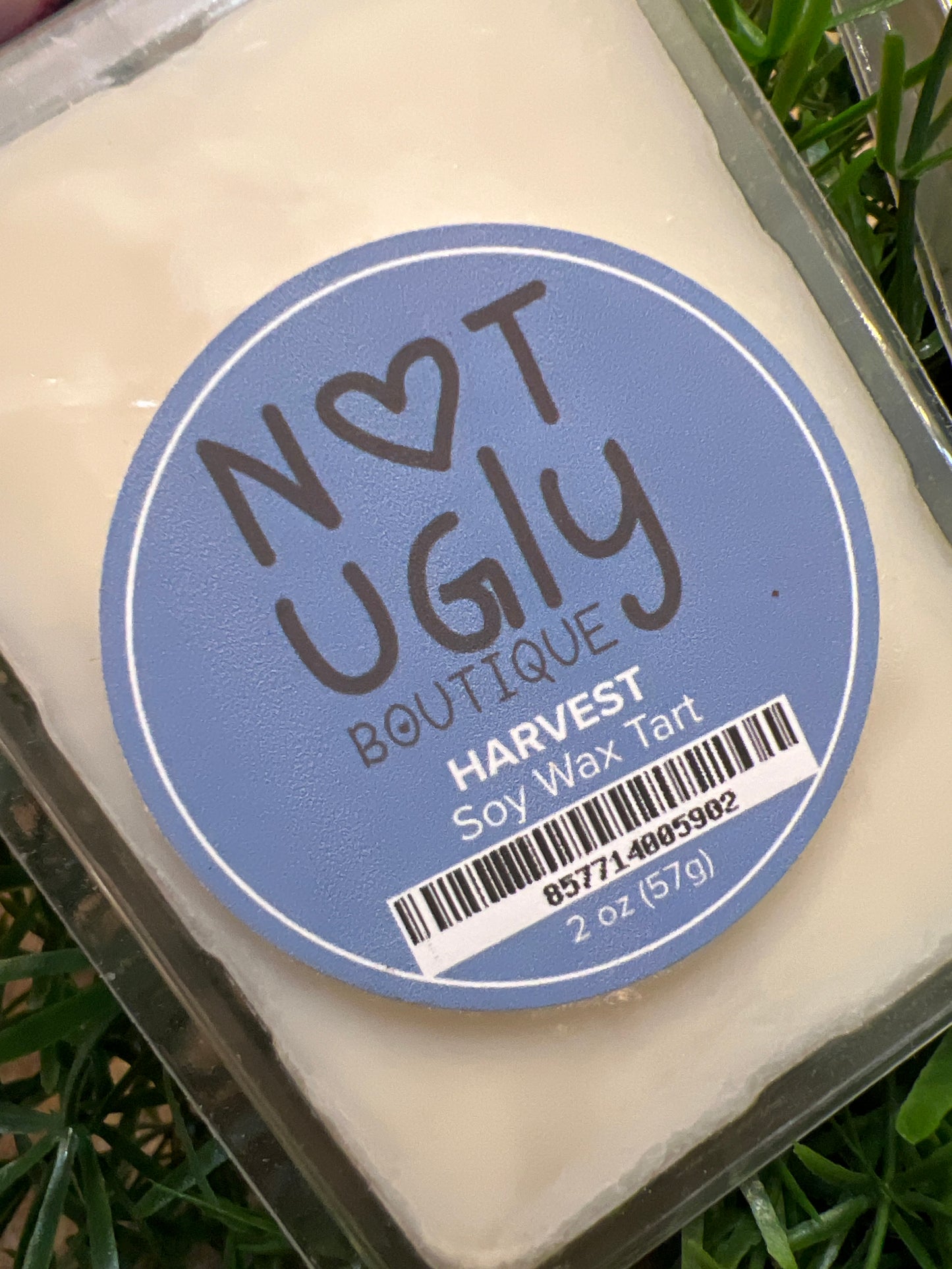 Wax Melts